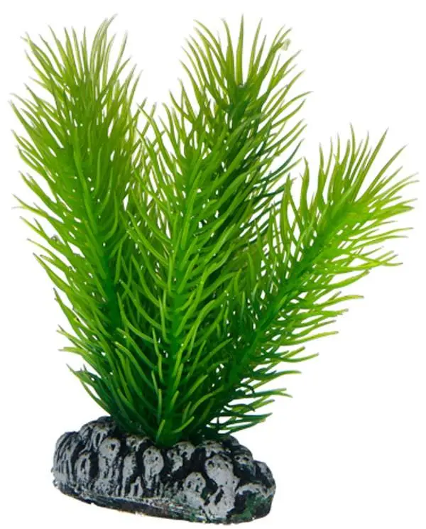 Hobby Mayaca 7 cm